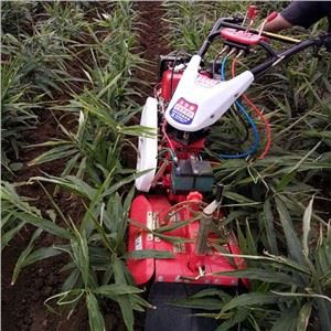 Χορτάρι Tiller