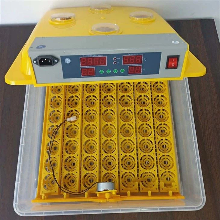 Incubator